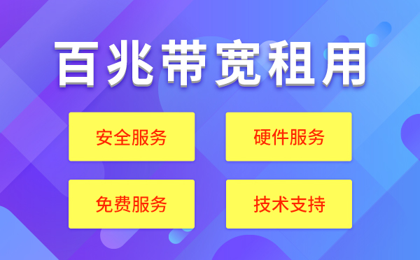 100M带宽租用服务器配置价格表？