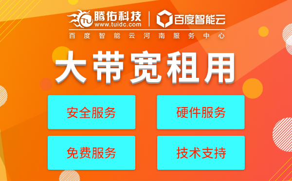 上海网站配置大带宽服务器租用
