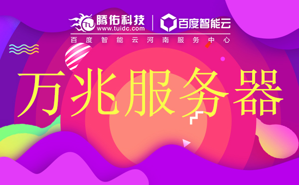 短视频服务器租用大带宽是多少兆？